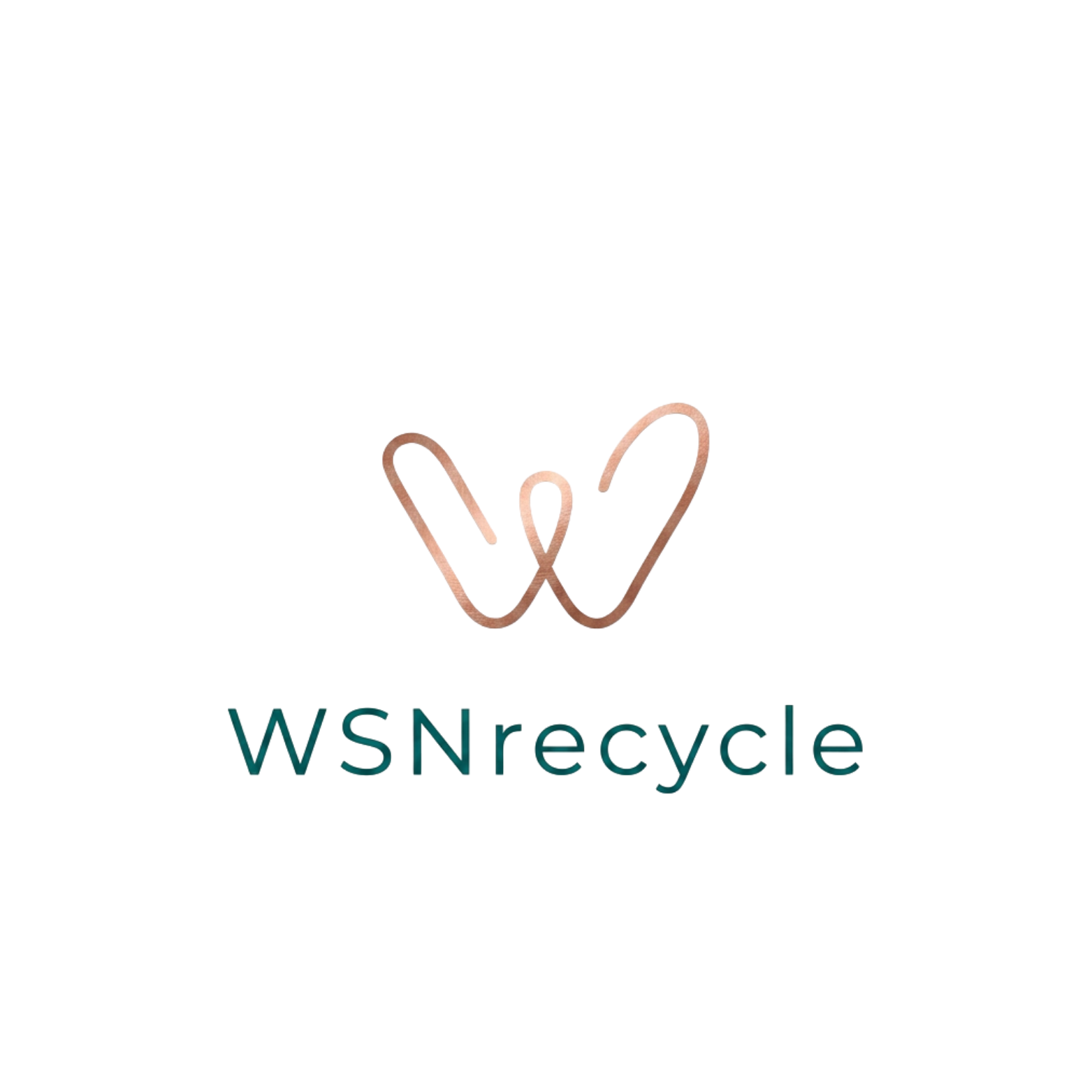 WSNrecycle Logo