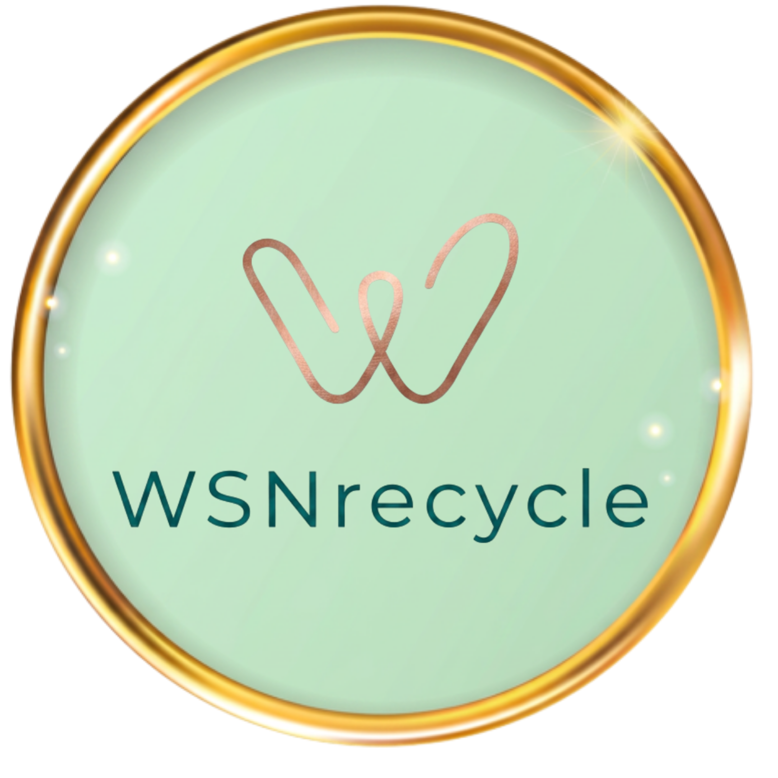 WSNrecycle Logo